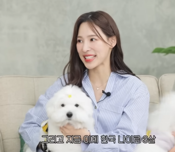 "강형욱도 만났는데" 환승연애2 나연 반려견 파양 논란