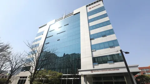 동아쏘시오홀딩스, ‘13년 숙제’ 마치고 사업지주회사 체제 전환