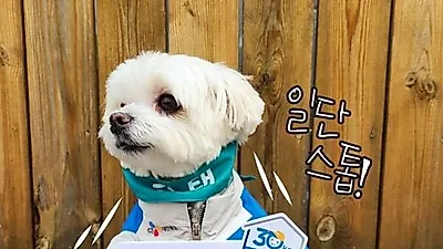 '후원금 먹튀' 경태아부지 인스타 근황 "500만원에 계정 샀다"