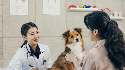제1회 동물보건사 자격시험 시행 공고