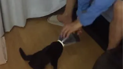 박수홍, 부친에게 폭행당한 후 유튜브에 올라온 영상 화제 