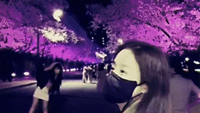 "비랑 같이 갔나?" 김태희, 벚꽃 구경 근황서 레전드 미모 발산