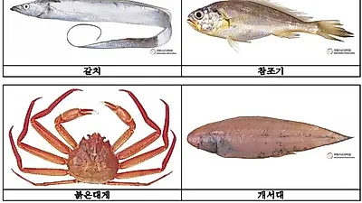 7월에는 갈치ㆍ참조기ㆍ붉은 대게를 지켜주세요