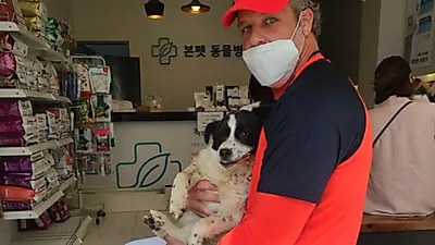 KIA 외국인 코치, 광주서 차에 치인 강아지 구조…감동 '기부행렬'