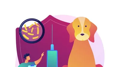 “광견병, 예방이 답입니다” 경기도, 5월말까지 일제 예방접종 추진