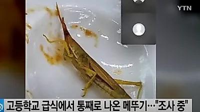 강서구 고교 급식 근대된장국 아닌 메뚜기된장국 나왔다