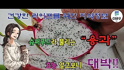 슈퍼푸드라 불리는 '용과' 효능 알고보니 대박