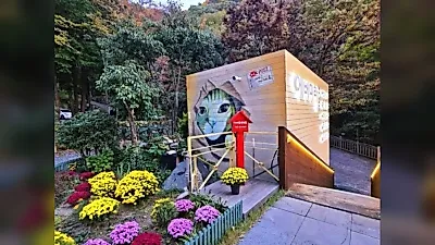 부산 공무원 100명, 밀양 찾은 이유