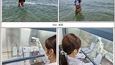 해수부 , 전국 267 개 해수욕장 대상 수질 및 백사장 토양 오염도 조사