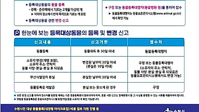 수원시, 9월 30일까지 ‘동물등록 자진신고 기간’ 운영