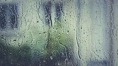 "사망 22명, 실종 14명" 전국 각지 폭우 피해 '심각'
