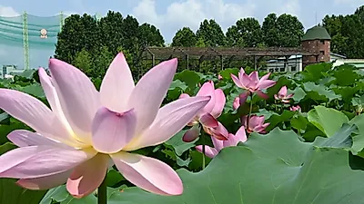 자연 속에서 더위 잊는 수원의 여름 명소 10선(選)