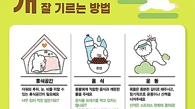 경기도, ‘실외사육견 중성화 수술지원’ 사업 운영에 따라‥31개 시‧군 지원