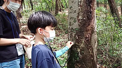 시민과 함께 하는 제2회 열린 나무병원 운영