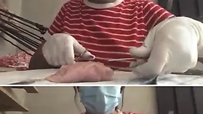 의대생 집사 멘붕 터트린 냥이의 '돌발 행동'