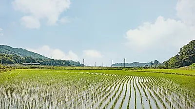 수원시, 부동산 투기 등 농지법 위반행위 근절한다