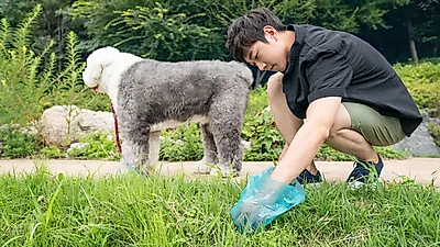 경기도 ‘사람·반려견 함께하는 하천’ 조성 돌입‥음수대 디자인 등 의견수렴 마무리