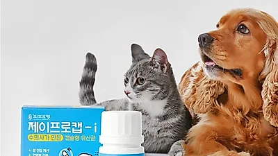 퍼피로캣, 유산균 전문기업 비비씨와 손잡고 반려동물용 유산균 영양제 개발