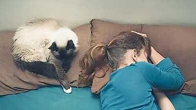 고양이 기 죽이는 '나쁜 집사' 특징 4가지