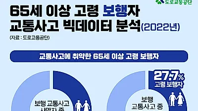 고령 운전자, 고령 보행자 사망사고 증가... 사망자 10명 중 6명이 고령자