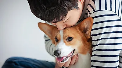 반려견 등록(자진신고), 서두르세요! 동물등록 집중단속 10월 1일부터 전국 실시