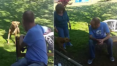 건강 악화로 살이 20kg 넘게 빠진 주인을 본 댕댕이 반응