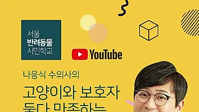 우리집 ‘고양이 친화 인테리어’는?…‘서울 반려동물시민학교’ 온라인 특강