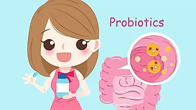 프로바이오틱스 올바르게 섭취하세요