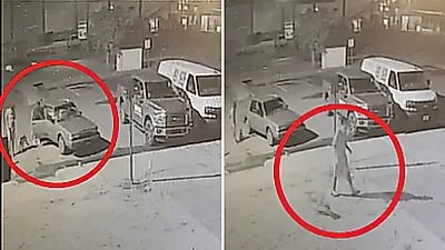 수상한 차량에서 끌려 나온 강아지…살펴보니 '임신 중'