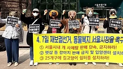 4.7일 서울시장 재보궐 선거를 맞아, 동물복지 정책을 촉구하는 기자회견