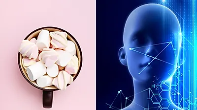 학업성취도·범죄 위험과도 관련 있는 이 능력은?