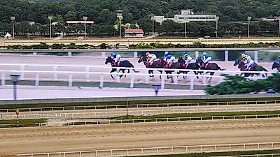 15일 과천 렛츠런파크 경기도지사배 경주대회 실시...축산물 홍보 행사도 진행