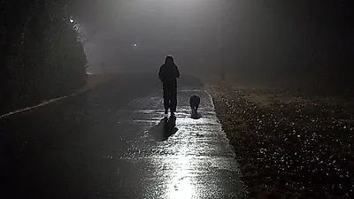 "강아지와의 밤 산책, 매번 하면 우울증 걸리나요?"