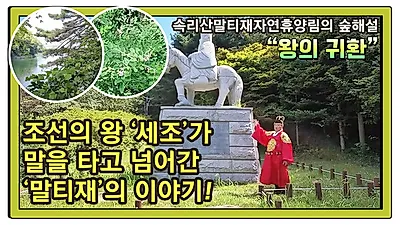 집에서 실시간으로 보고 느끼는 국립자연휴양림