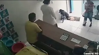 다친 몸 치료받으려 스스로 병원 찾은 강아지