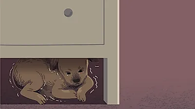 잔혹한 동물학대범들이 주로 보인다는 특징 3가지