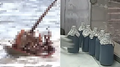백신 테스트로 대체할 만한 것 없다는 '파란 피'의 정체