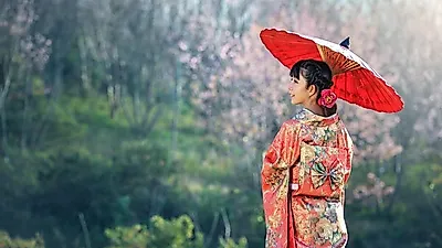 일본인이 본 한국인의 인생 '충격'