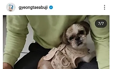 반려견 치료비 후원금으로 스포츠 토토를?