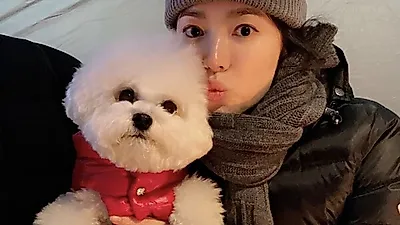송혜교, 송중기 결혼 발표 3일만의 근황에 "♥"