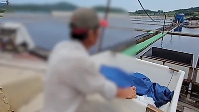 신안 염전 노예 진행중? 매표소 직원 "주민 데려가는 거 아니죠?"