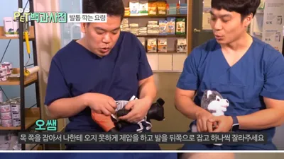 수의사가 말하는 '반려동물 발톱' 쉽게 깎는 꿀TIP