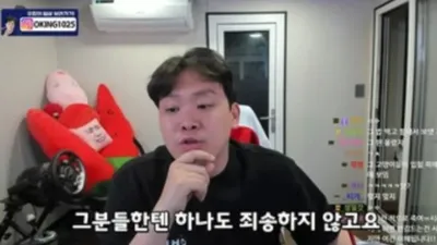 "고양이 X이고 싶다" 해놓고 죄송하지 않다는 유튜버