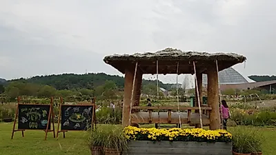 실생활에 활용되는 식물들을 가족과 함께 체험해요!
