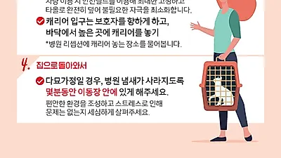 로얄캐닌, 병원방문에 어려움을 느끼는 보호자들을 위한 ‘반려묘와 함께 동물병원 방문하기 팁’ 제안