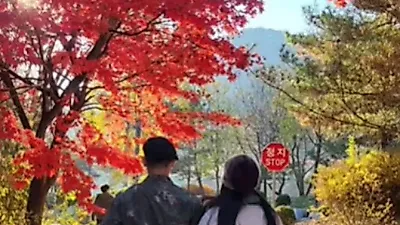 방은희, 팔짱 끼고 연하남과 데이트? 알고 보니…