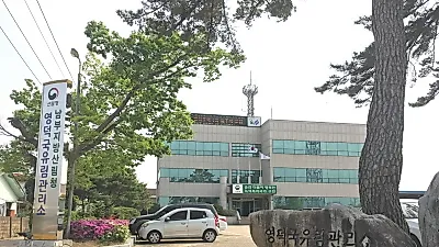 영덕국유림관리소, 연금 지급식 사유림 매수제도 실시