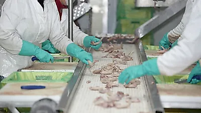 수원시, 식품제조가공업체 등에 시설개선자금 최대 5억 원 융자 지원