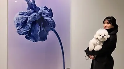 송혜교, 송중기 열애 소식 나온 날 근황 '화제'