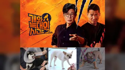 SNS 3억 뷰 돌파한 '개늑시', 흑미와 구억이가
